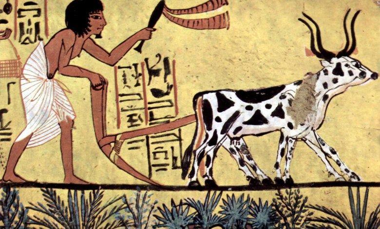 Fossil Fuels Throughout Human History