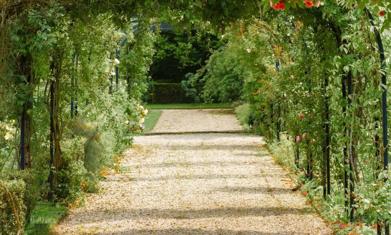 Getting pH Right is Essential in Gardening