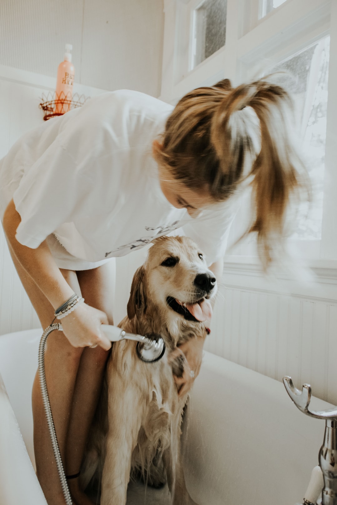 Microbubble Pet Spa Bath Tub