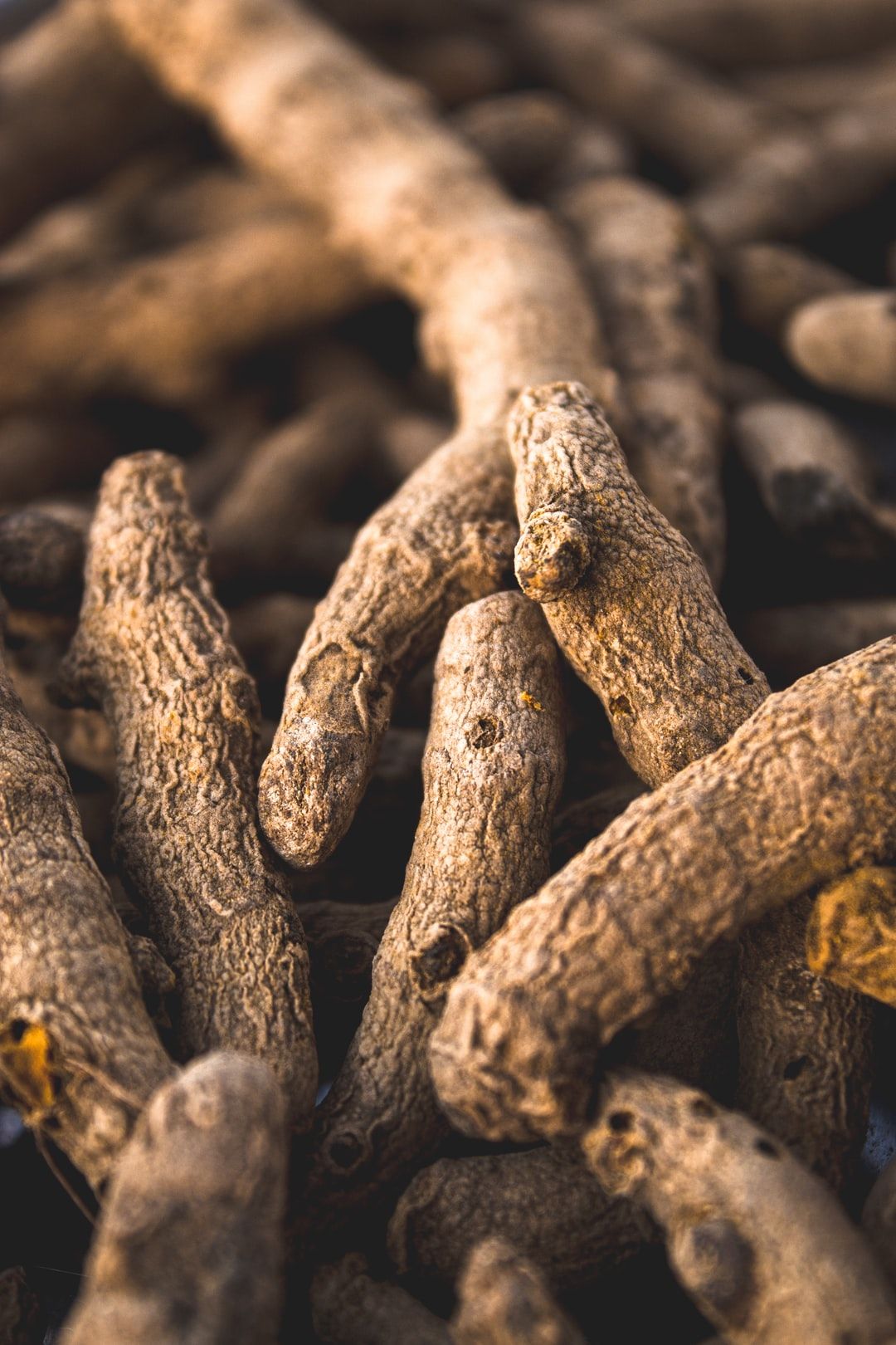 4 Yellow Root Health Benefits