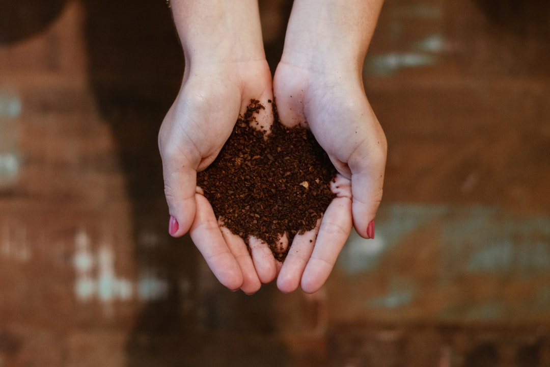 Dispose of leaves, brush, or Christmas trees - The City of Asheville