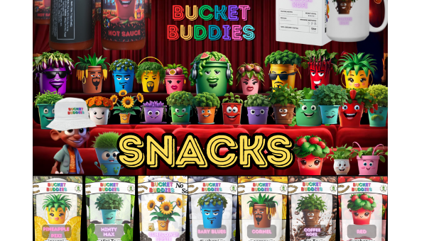Combat sugar with healthy buckets and dried fruit snacks for children – Erie News now