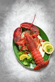 More Than Just Lobster: At Maine Lobster Now, It’s a Whole Maine Experience